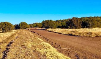 9 County Road 3036, Concho, AZ 85924