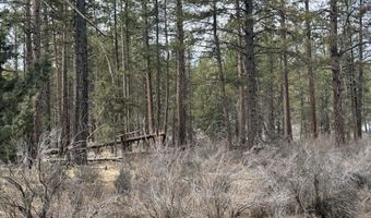 Bufflehead Drive TL 10, Bonanza, OR 97623