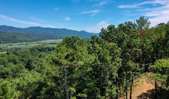 4 Black Rock Trl 4, Andrews, NC 28901