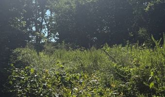 Co Rd K 546, Ava, MO 65608