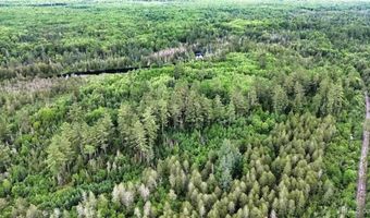 40 Acres Wide Waters Rd, Amasa, MI 49902