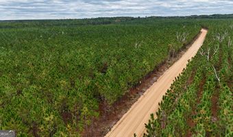 Penny Morris Road, Baxley, GA 31513