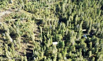 415 FOREST 21, Alpine, WY 83128