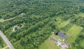 9265 Birch Run Rd, Arbela, MI 48746