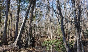 Highway 3, Blackville, SC 29817