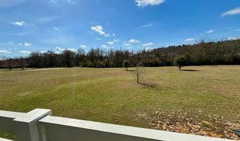 493 N Hill Dr, Carriere, MS 39426