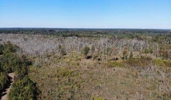 Broxton Bridge Road, Bamberg, SC 29003