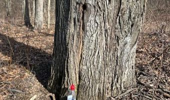 S1205 County Road Y, Wonewoc, WI 53968