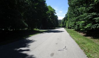 11190 Hassler Woods Trl, Alanson, MI 49706