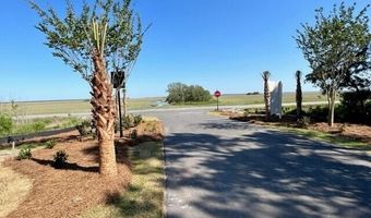 1074 Capersview Ct, Awendaw, SC 29429