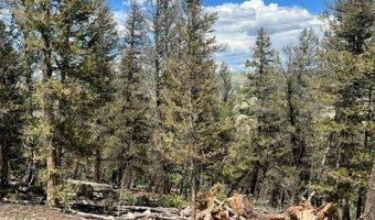 3006 MIDDLE FORK Vis, Fairplay, CO 80440