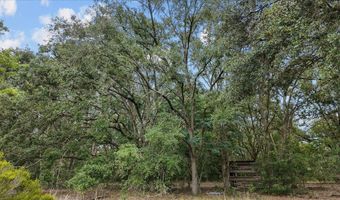 3670 25th Cir, Bell, FL 32619