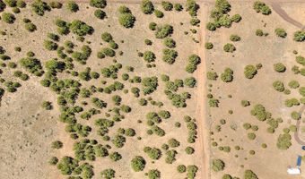 128 Co Rd 8061 1.27 Acres, Concho, AZ 85924
