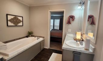 786 Blackberry Rd, Baconton, GA 31716