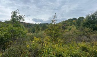 213 Patterson Creek Dr, Alderson, WV 24910