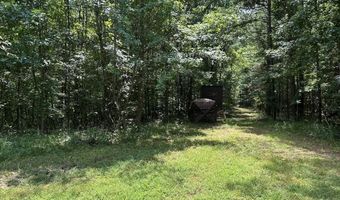 Pleasant Hill Road, Ashland, MS 38603