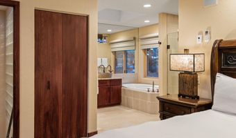 650 S Monarch St 4, Aspen, CO 81611