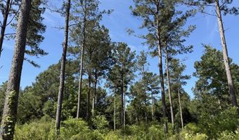 0 S County Road 33, Ashford, AL 36312
