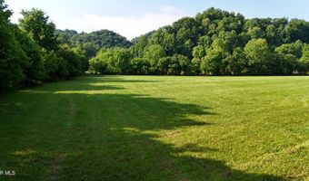 Canebrake Road, Abingdon, VA 24210