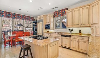 990 E Hopkins Ave, Aspen, CO 81611