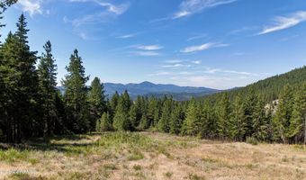 1710 Tower Mountain Rd, Blanchard, ID 83804