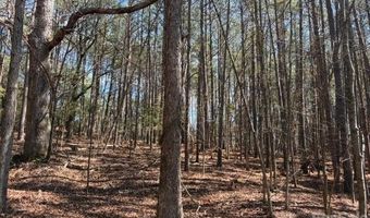 12 68 Acre 99 Rd, Blair, SC 29015