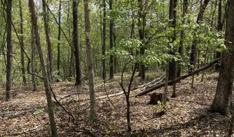 State Hwy N Tract G, Ava, MO 65608