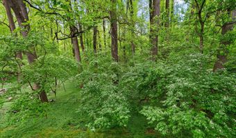 10643 WEYMOUTH St 103, Bethesda, MD 20814