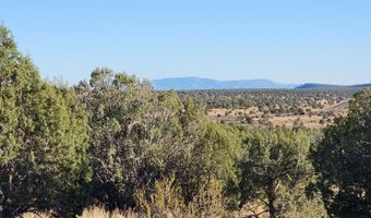 88- B Rose Ln, Ash Fork, AZ 86320