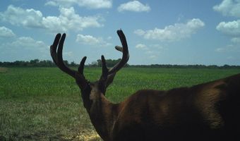 607 Hwy 69, Arma, KS 66712