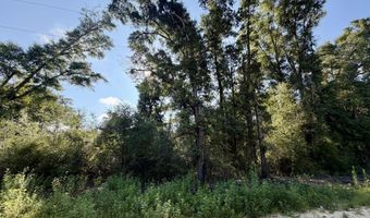 Sorrento Avenue lot 20-22, Alford, FL 32420