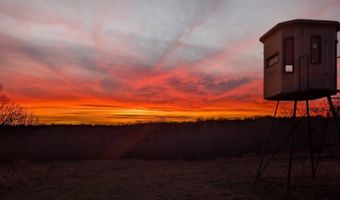 Rr 1 Box 6548, Ava, MO 65608