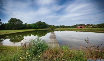 15 Acres Slaughter Pen Rd, Ardmore, TN 38449