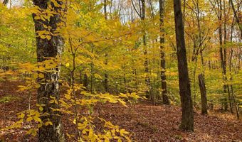 L21.1 Alder Pond Road, Andes, NY 13740