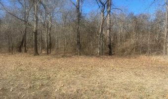 35 TOWBOAT Ln Lot 35, Adamsville, TN 38310