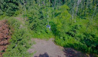 1000 Point Mason Rd, Big Sandy, TN 38221
