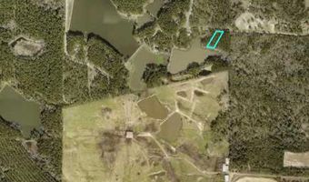 221 W 1st St, Arabi, GA 31712