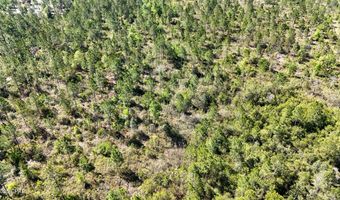 NW Miller Road, Altha, FL 32421