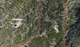 NHN Herring Flats Road, Anaconda, MT 59711