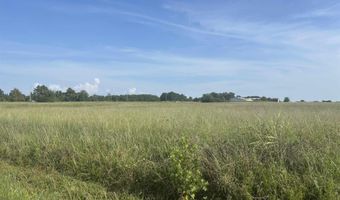 140 Alford Rd, Bald Knob, AR 72010