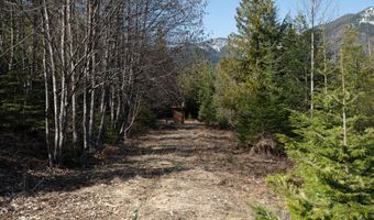 940 Sled Run Trl, Clark Fork, ID 83811