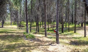 1246 Blanchard Cutoff, Blanchard, ID 83804