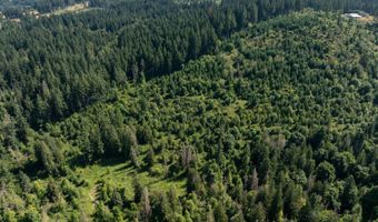 Bogynski RD, Oregon City, OR 97045