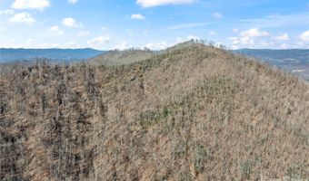 31 Reillys Bluff Rd 2, Barnardsville, NC 28709