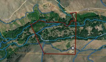 9885 Challis Creek Rd, Challis, ID 83226