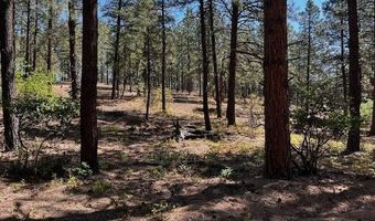 221 Badger Rd, Bayfield, CO 81122