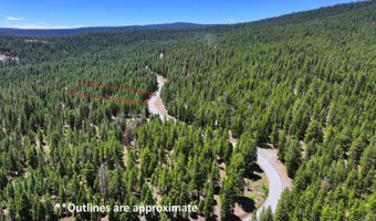 7783 California Pines Blvd, Alturas, CA 96101