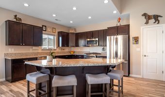 4020 Hells Bells Rd, Carson City, NV 89701