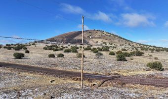 102 County Road 5105, Concho, AZ 85924