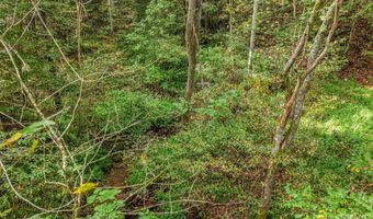 19 Woodchuck Cove Way, Alexander, NC 28701